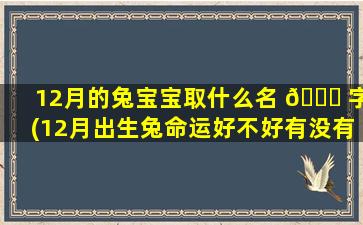 12月的兔宝宝取什么名 🐋 字(12月出生兔命运好不好有没有横财)